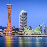 Tranh Dán Tường Phòng Ăn PA03