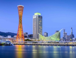 Tranh Dán Tường Phòng Ăn PA03