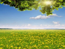 Tranh Dán Tường Phòng Ăn PA26