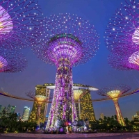 Tranh Dán Tường Phòng Ăn PA29