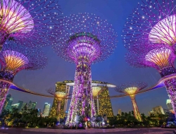 Tranh Dán Tường Phòng Ăn PA29