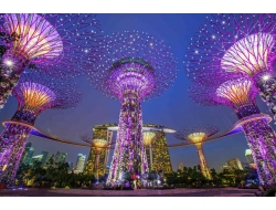 Tranh Dán Tường Phòng Ăn PA29