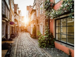 Tranh Dán Tường Phòng Ăn PA30