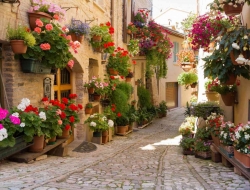 Tranh Dán Tường Phòng Ăn PA31