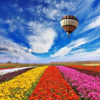 Tranh Dán Tường Phòng Ăn PA32