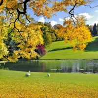 Tranh Dán Tường Phòng Ăn PA35