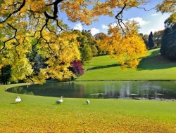 Tranh Dán Tường Phòng Ăn PA35