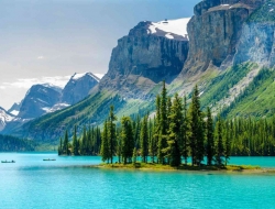 Tranh Dán Tường Phòng Ăn PA39