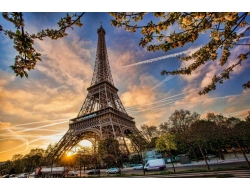 Tranh Dán Tường Phòng Khách PA40