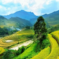 Tranh Dán Tường Phòng Khách PA44