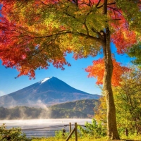 Tranh Dán Tường Phòng Khách PA49