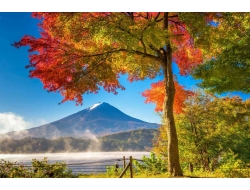 Tranh Dán Tường Phòng Khách PA49