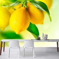 Tranh Dán Tường Phòng Ăn PA56 Tranh Dán Tường Phòng Ăn PA56