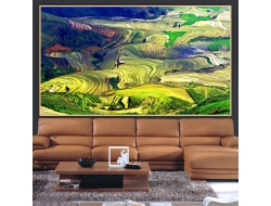  Tranh Dán Tường Phong Cảnh Thiên Nhiên Tiến Phát Decor Pctp104