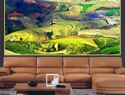  Tranh Dán Tường Phong Cảnh Thiên Nhiên Tiến Phát Decor Pctp104