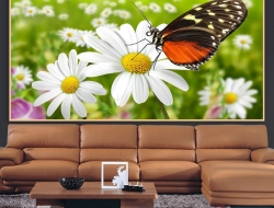  Tranh Dán Tường Phong Cảnh Thiên Nhiên Tiến Phát Decor Pctp96