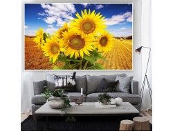  Tranh Dán Tường Phong Cảnh Thiên Nhiên Tiến Phát Decor Pctp97