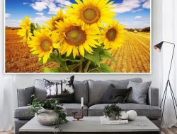  Tranh Dán Tường Phong Cảnh Thiên Nhiên Tiến Phát Decor Pctp97