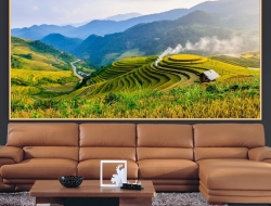  Tranh Dán Tường Phong Cảnh Thiên Nhiên Tiến Phát Decor Pctp99