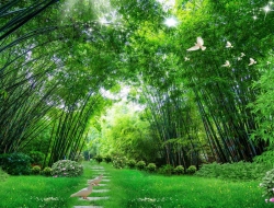  Tranh Dán Tường Phong Cảnh Thiên Nhiên Tiến Phát Decor Pctp75