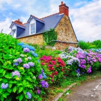 Tranh Dán Tường Phong Cảnh Thiên Nhiên Tiến Phát Decor Pctp81 Tranh Dán Tường Phong Cảnh Thiên Nhiên Tiến Phát Decor Pctp81