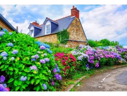  Tranh Dán Tường Phong Cảnh Thiên Nhiên Tiến Phát Decor Pctp81