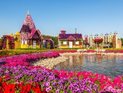  Tranh Dán Tường Phong Cảnh Thiên Nhiên Tiến Phát Decor Pctp82