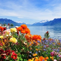  Tranh Dán Tường Phong Cảnh Thiên Nhiên Tiến Phát Decor Pctp83