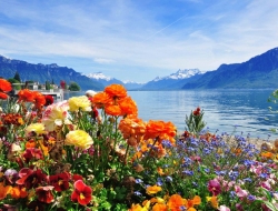  Tranh Dán Tường Phong Cảnh Thiên Nhiên Tiến Phát Decor Pctp83