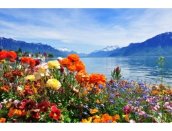  Tranh Dán Tường Phong Cảnh Thiên Nhiên Tiến Phát Decor Pctp83