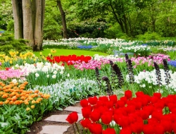  Tranh Dán Tường Phong Cảnh Thiên Nhiên Tiến Phát Decor Pctp84