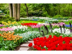  Tranh Dán Tường Phong Cảnh Thiên Nhiên Tiến Phát Decor Pctp84