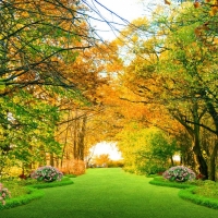 Tranh Dán Tường Phong Cảnh Thiên Nhiên Tiến Phát Decor Pctp85 Tranh Dán Tường Phong Cảnh Thiên Nhiên Tiến Phát Decor Pctp85