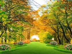  Tranh Dán Tường Phong Cảnh Thiên Nhiên Tiến Phát Decor Pctp85