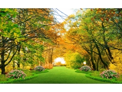  Tranh Dán Tường Phong Cảnh Thiên Nhiên Tiến Phát Decor Pctp85