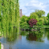 Tranh Dán Tường Phong Cảnh Thiên Nhiên Tiến Phát Decor Pctp86 Tranh Dán Tường Phong Cảnh Thiên Nhiên Tiến Phát Decor Pctp86