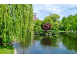  Tranh Dán Tường Phong Cảnh Thiên Nhiên Tiến Phát Decor Pctp86