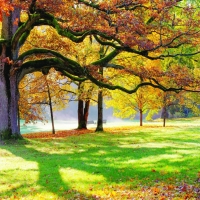 Tranh Dán Tường Phong Cảnh Thiên Nhiên Tiến Phát Decor Pctp87 Tranh Dán Tường Phong Cảnh Thiên Nhiên Tiến Phát Decor Pctp87