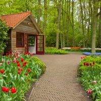  Tranh Dán Tường Phong Cảnh Thiên Nhiên Tiến Phát Decor Pctp89