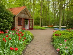  Tranh Dán Tường Phong Cảnh Thiên Nhiên Tiến Phát Decor Pctp89