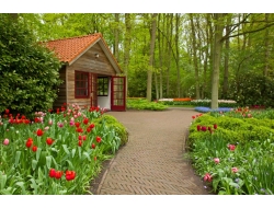  Tranh Dán Tường Phong Cảnh Thiên Nhiên Tiến Phát Decor Pctp89