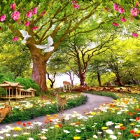  Tranh Dán Tường Phong Cảnh Thiên Nhiên Tiến Phát Decor Pctp90