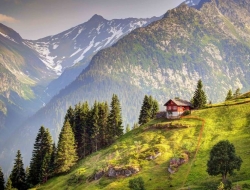  Tranh Dán Tường Phong Cảnh Thiên Nhiên Tiến Phát Decor Pctp91