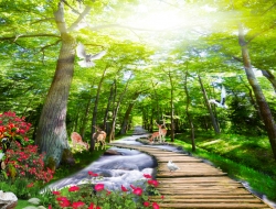 Tranh Dán Tường Phong Cảnh Thiên Nhiên Tiến Phát Decor Pctp59 Tranh Dán Tường Phong Cảnh Thiên Nhiên Tiến Phát Decor Pctp59