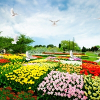 Tranh Dán Tường Phong Cảnh Thiên Nhiên Tiến Phát Decor Pctp62 Tranh Dán Tường Phong Cảnh Thiên Nhiên Tiến Phát Decor Pctp62