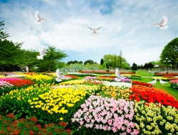 Tranh Dán Tường Phong Cảnh Thiên Nhiên Tiến Phát Decor Pctp62 Tranh Dán Tường Phong Cảnh Thiên Nhiên Tiến Phát Decor Pctp62