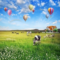  Tranh Dán Tường Phong Cảnh Thiên Nhiên Tiến Phát Decor Pctp66