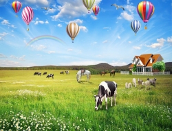 Tranh Dán Tường Phong Cảnh Thiên Nhiên Tiến Phát Decor Pctp66 Tranh Dán Tường Phong Cảnh Thiên Nhiên Tiến Phát Decor Pctp66