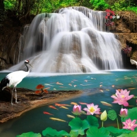  Tranh Dán Tường Phong Cảnh Thiên Nhiên Tiến Phát Decor Pctp68