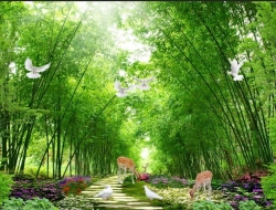 Tranh Dán Tường Phong Cảnh Thiên Nhiên Tiến Phát Decor Pctp71 Tranh Dán Tường Phong Cảnh Thiên Nhiên Tiến Phát Decor Pctp71